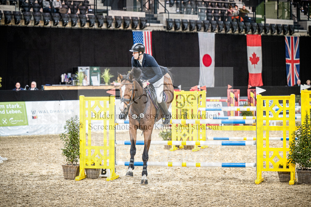 DOS_0531 | Entdecke hochwertige Reitturnierfotos von Foto Oger. Professionell, emotional und authentisch – jetzt Lieblingsmomente im Shop bestellen.Deutschlandweite Turnierfotografie. - Realisiert mit Pictrs.com