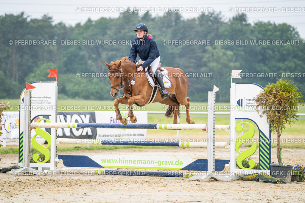 DSC00927 | Pferdegrafie