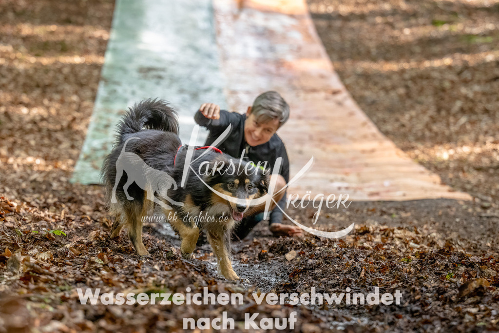 1142_ZZ92153-Bearbeitet | kk-dogfotos