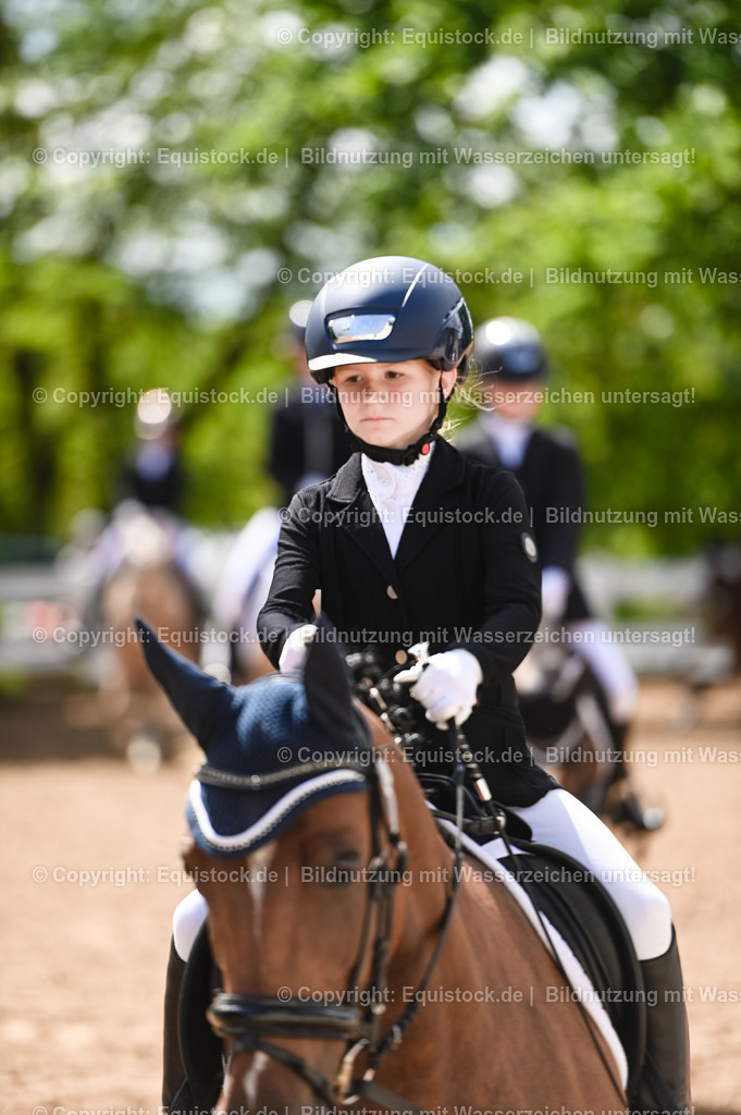 20230716_10-3_Reiter-WB Schritt - Trab - Galopp_0021 | equistock