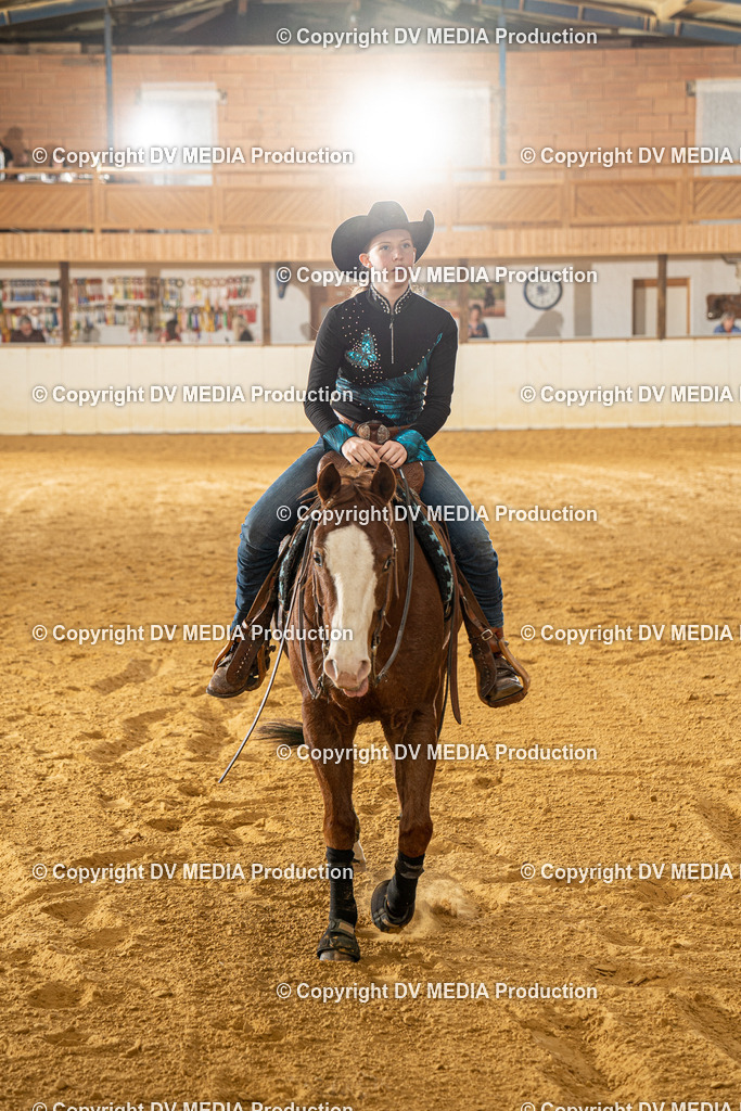 MIT00409 | dv-media-shop - Realisiert mit Pictrs.com