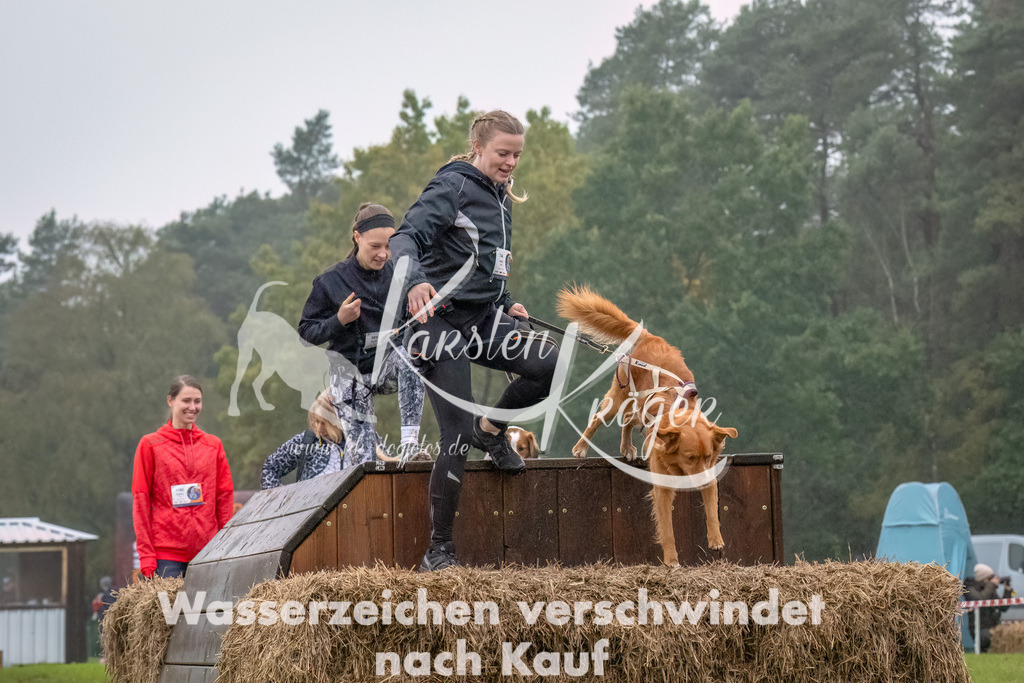 1244--3 | kk-dogfotos