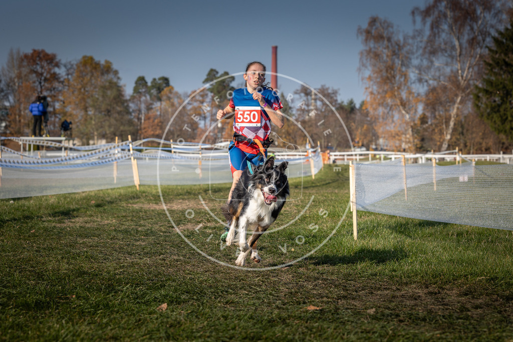 CaniXpix_0L8A9116 | Hundefotografie, Tierfotograf, Pfotenfotografie, Fotoshooting Hund, Hunde Portrait, Hundesport, Hundeportraits, Heideshooting, Hunde, Sportfotograf, Hundefotograf, Turnierhundsport, THS,  - Realisiert mit Pictrs.com