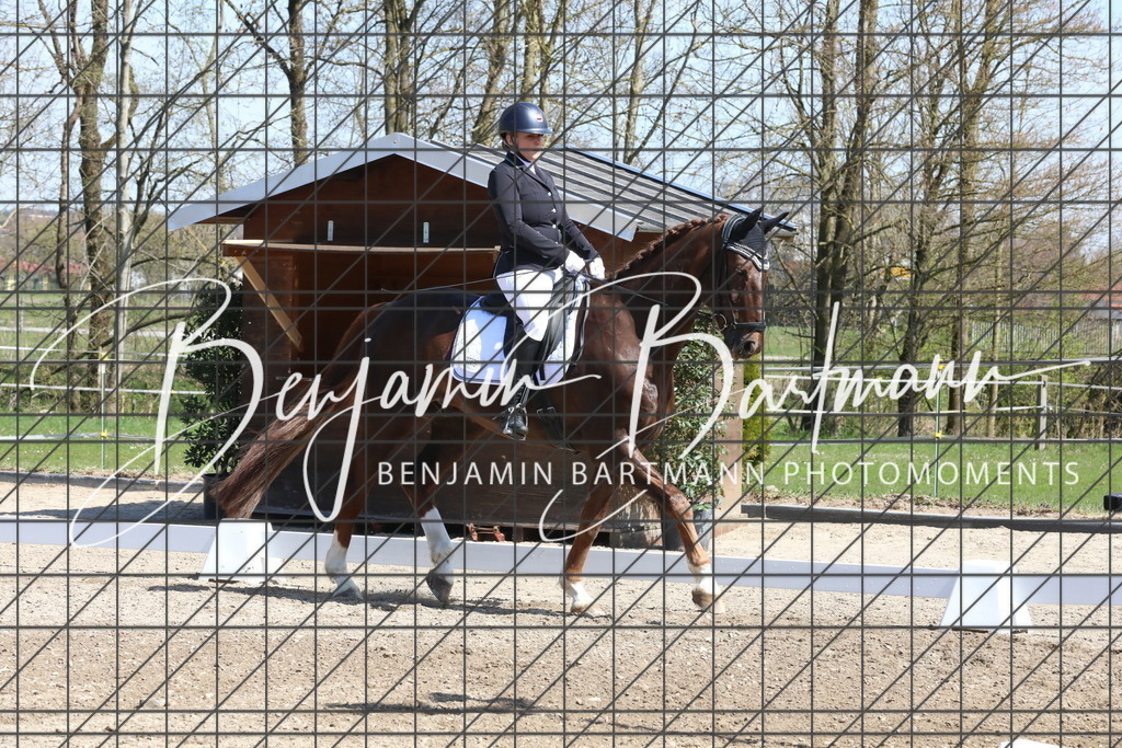 AZ2A4019 | Benjamin Bartmann Photomoments