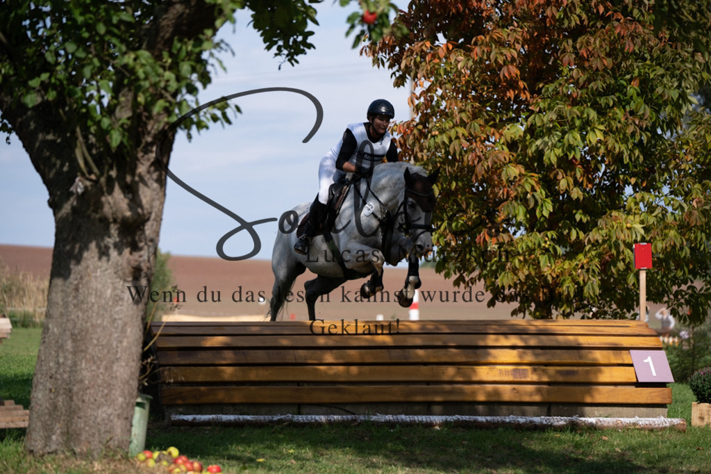 A7V03812 | Pferdefotograf