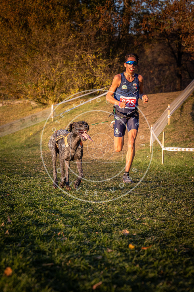 CaniXpix_0L8A1643 | Hundefotografie, Tierfotograf, Pfotenfotografie, Fotoshooting Hund, Hunde Portrait, Hundesport, Hundeportraits, Heideshooting, Hunde, Sportfotograf, Hundefotograf, Turnierhundsport, THS,  - Realisiert mit Pictrs.com