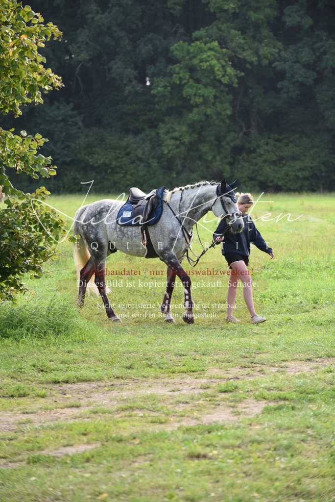DSC_8525 | Pferde- und Turnierfotografie in Westsachsen. Pferdeportraits, Auftragszeichnungen und intuitive Kunst.