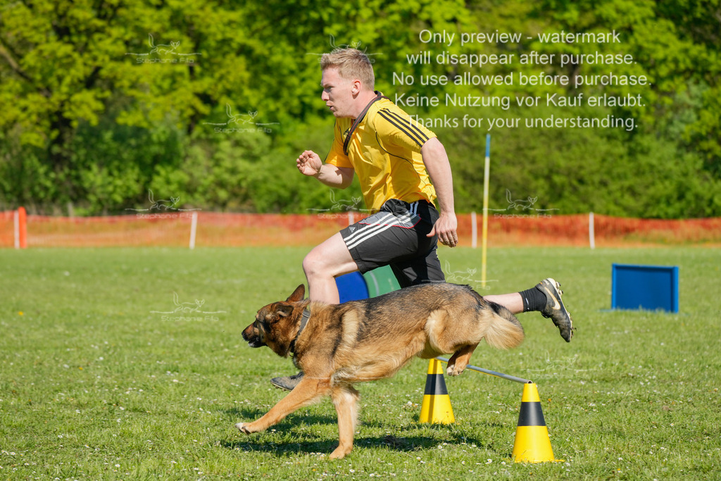 Sa_CSC-86 | stephaniefillaphotographie - Realisiert mit Pictrs.com