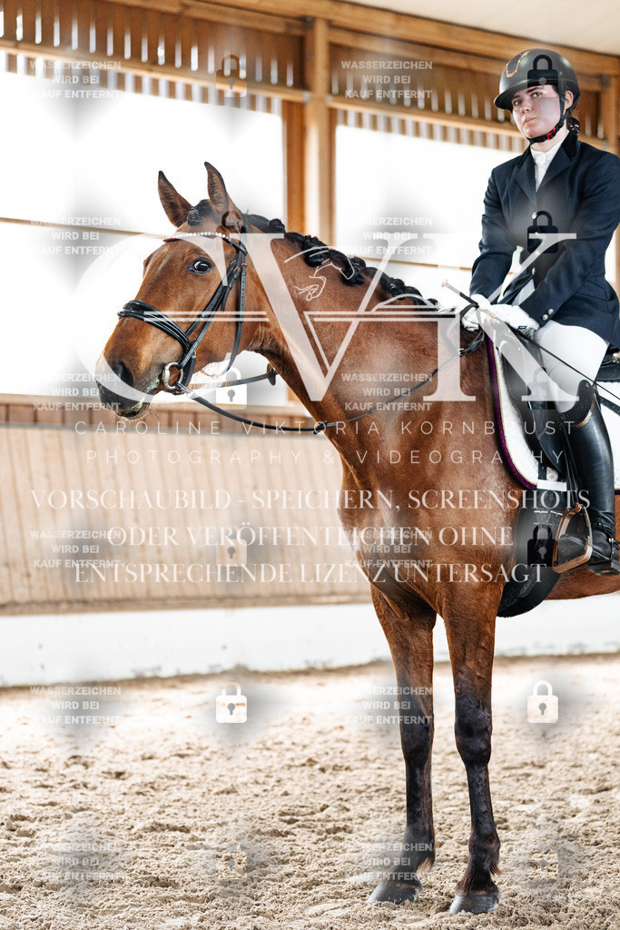 CK900445 | Turnierfotografie Pferdefotografie Trier Rheinland-Pfalz Pferdesport Reitsport Tierfotografie Sportfotografie Pferdevideo Pferdevideografie Equestrianvideography equestrianphotography  - Realized with Pictrs.com