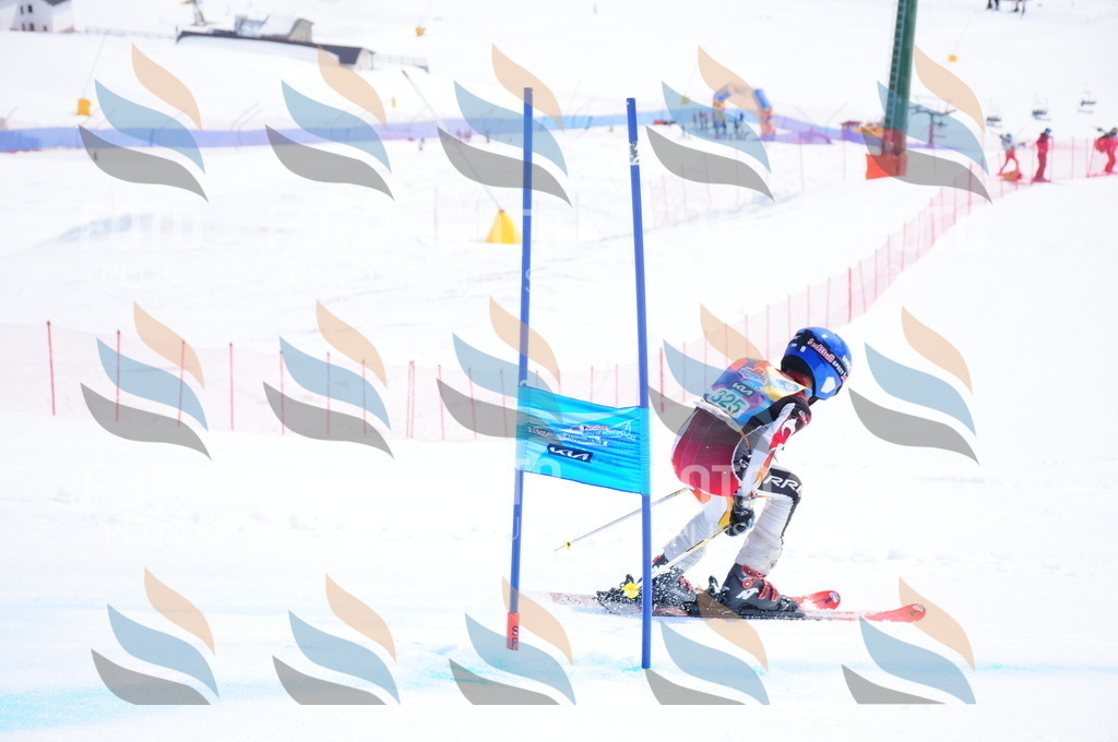 DSC_3140 | holidayphoto