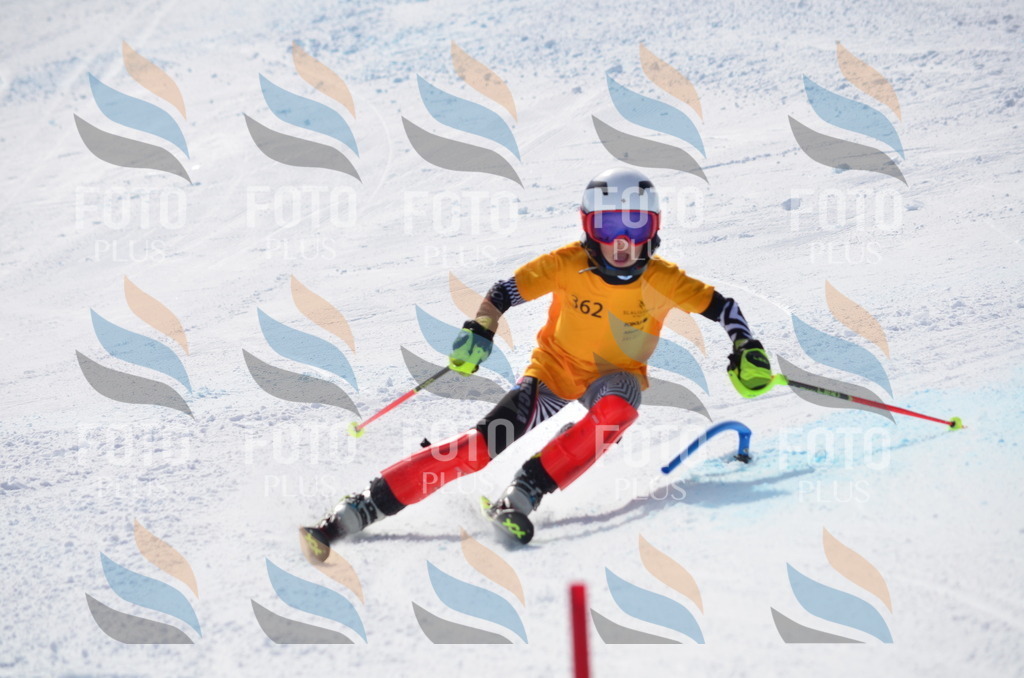 C9858 | holidayphoto