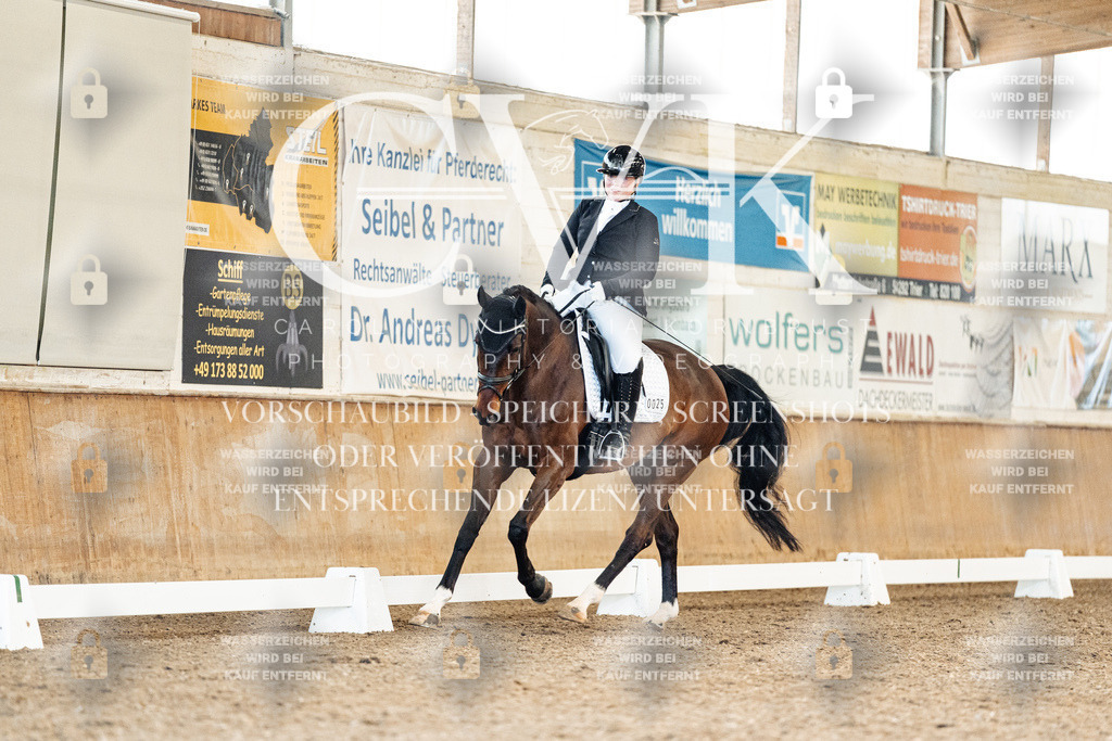 CK909379 | Turnierfotografie Pferdefotografie Trier Rheinland-Pfalz Pferdesport Reitsport Tierfotografie Sportfotografie Pferdevideo Pferdevideografie Equestrianvideography equestrianphotography  - Realisiert mit Pictrs.com