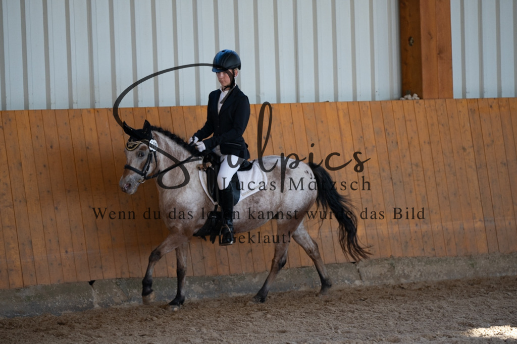 A7V01688 | Turnier/Reitfotograf