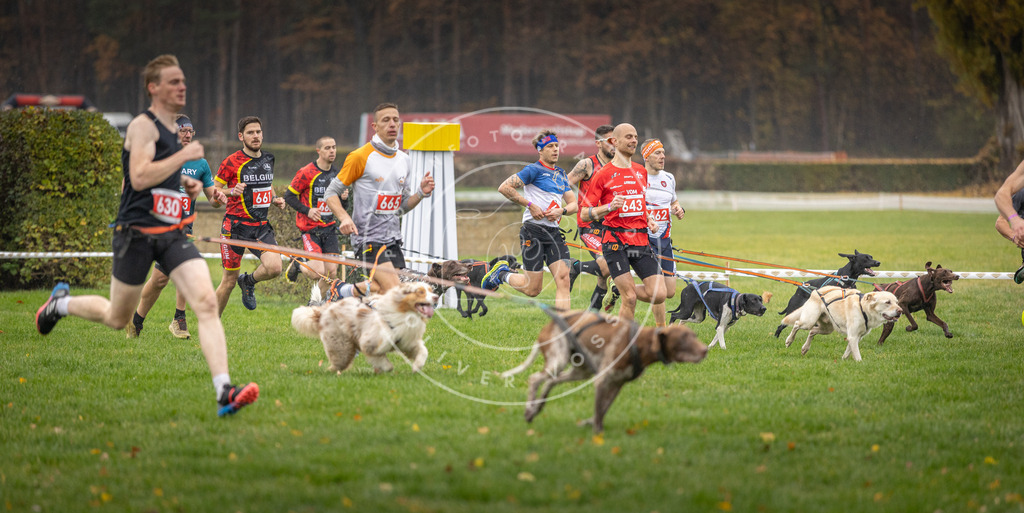 CaniXpix_DV3A9490 | Hundefotografie, Tierfotograf, Pfotenfotografie, Fotoshooting Hund, Hunde Portrait, Hundesport, Hundeportraits, Heideshooting, Hunde, Sportfotograf, Hundefotograf, Turnierhundsport, THS,  - Realisiert mit Pictrs.com
