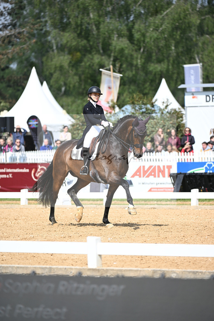 Ritzinger_Just Perfect_12240167 | hf-fotografie - Realisiert mit Pictrs.com