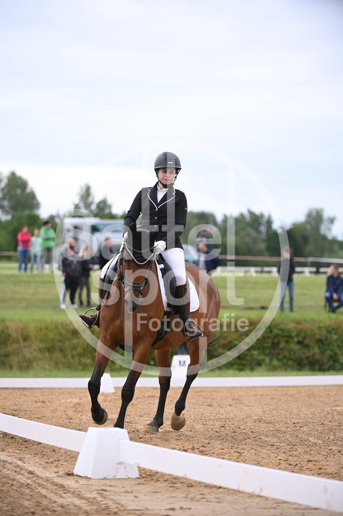 DSC_4632 | sattelsport - Realisiert mit Pictrs.com