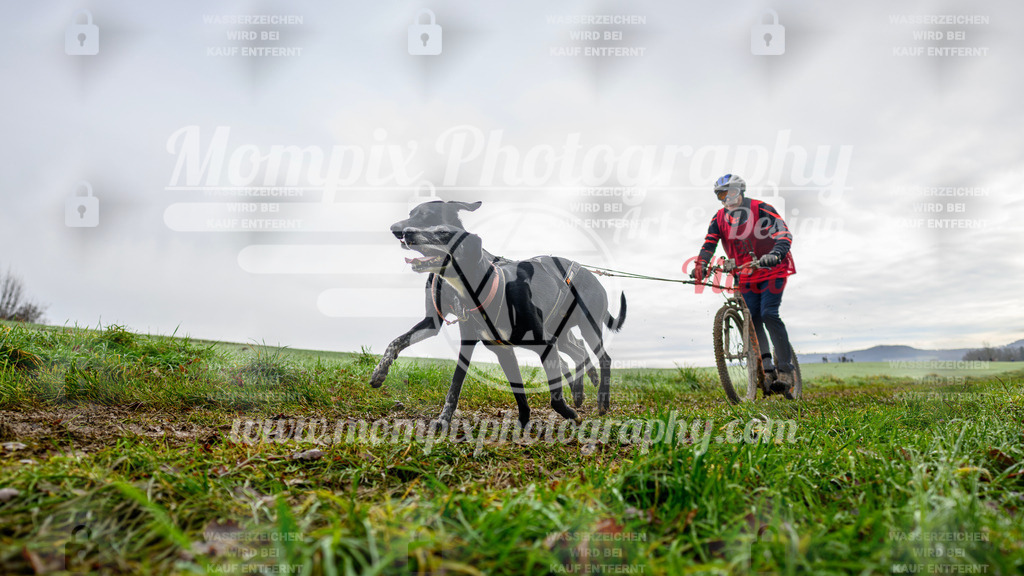 MompixPhotography_Staufertrail2024_SO_DS2-4 | PayLife