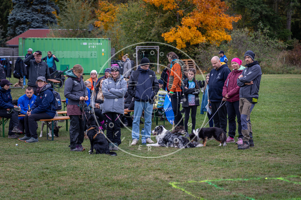Pfotenfotografie_0L8A0189 | Hundefotografie, Tierfotograf, Pfotenfotografie, Fotoshooting Hund, Hunde Portrait, Hundesport, Hundeportraits, Heideshooting, Hunde, Sportfotograf, Hundefotograf, Turnierhundsport, THS,  - Realisiert mit Pictrs.com