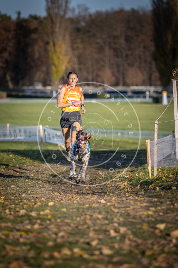 CaniXpix_DV3A3377 | Hundefotografie, Tierfotograf, Pfotenfotografie, Fotoshooting Hund, Hunde Portrait, Hundesport, Hundeportraits, Heideshooting, Hunde, Sportfotograf, Hundefotograf, Turnierhundsport, THS,  - Realisiert mit Pictrs.com