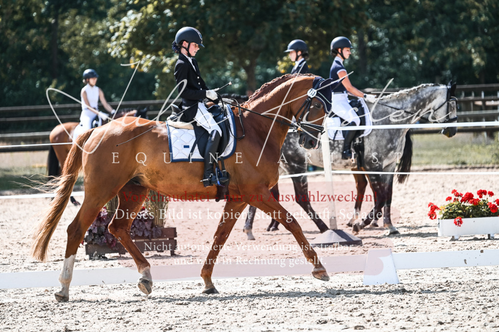 DSC_5088 | Pferde- und Turnierfotografie in Westsachsen. Pferdeportraits, Auftragszeichnungen und intuitive Kunst.