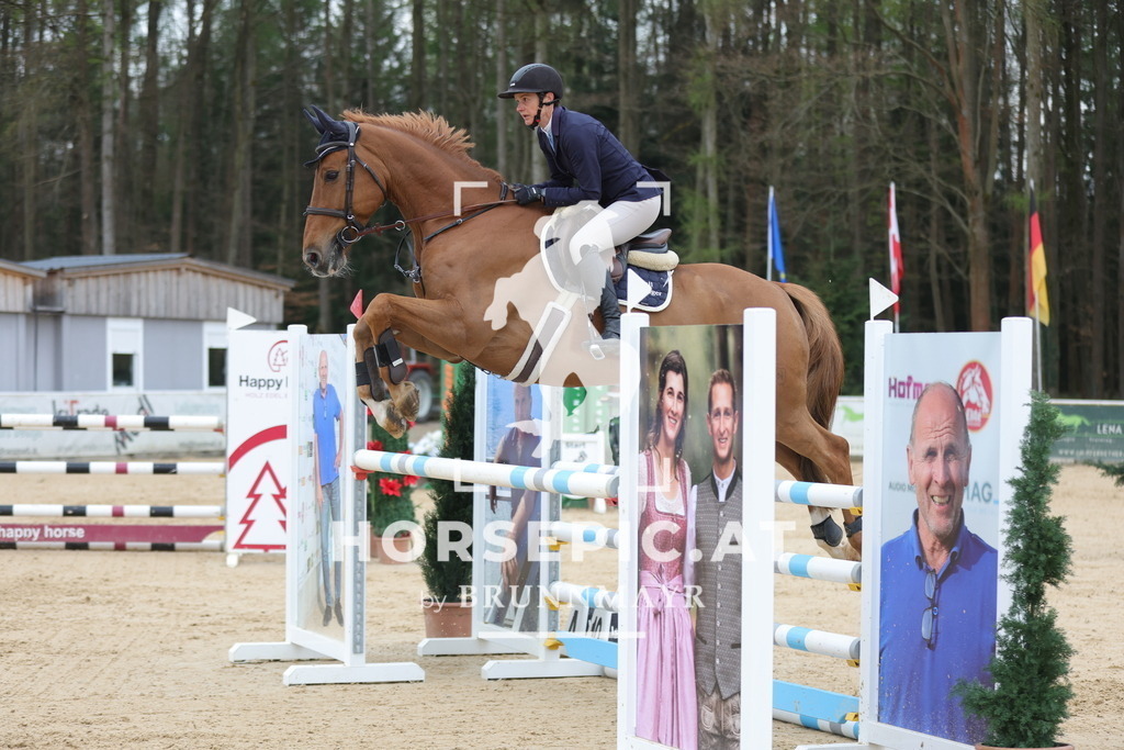 0P6A3856 | Willkommen bei Brunnmayr - Design & Fotografie – Ihrem Spezialisten für Reitturniere und Pferdeveranstaltungen in Oberösterreich, Salzburg und Bayern! Seit über 17 Jahren sind wir leidenschaftlich dabei.