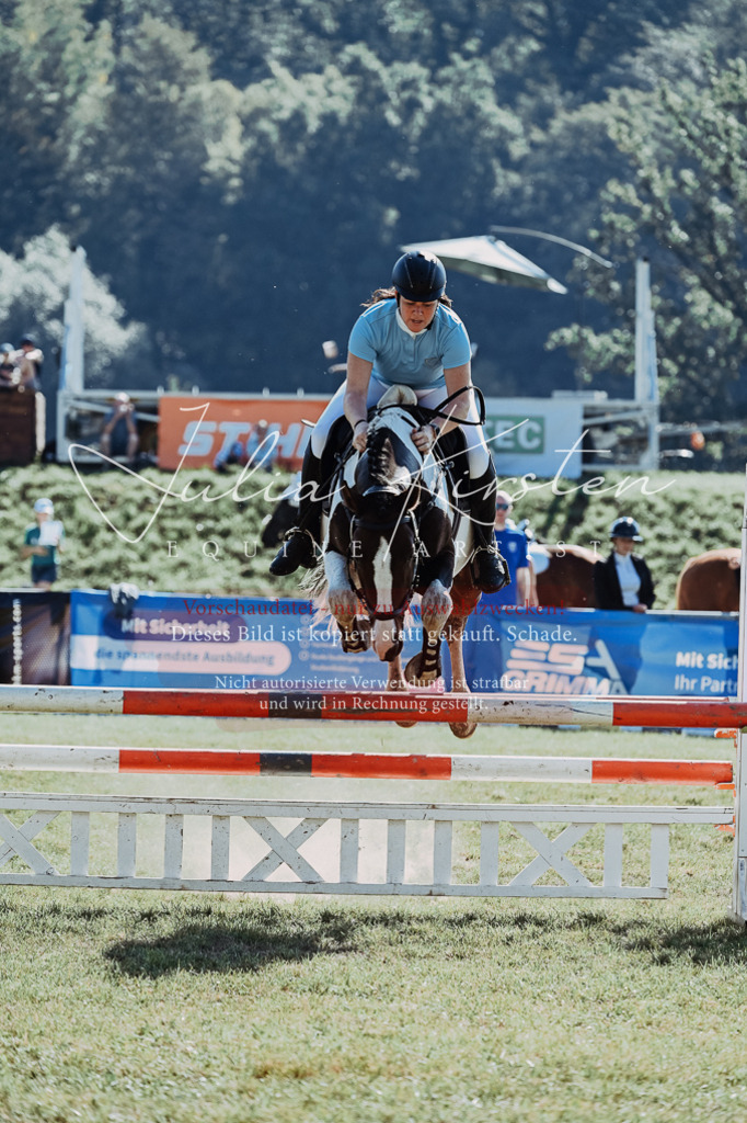 DSC_5470 | Pferde- und Turnierfotografie in Westsachsen. Pferdeportraits, Auftragszeichnungen und intuitive Kunst.