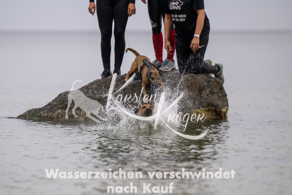 1314_ZZ93947 | kk-dogfotos