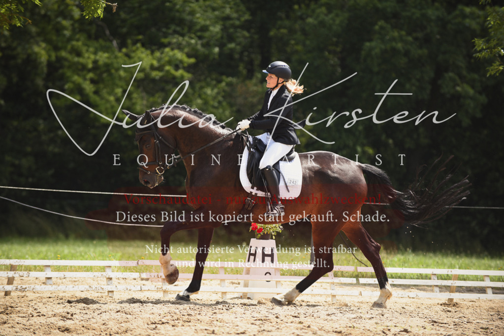 DSC_1223 | Pferde- und Turnierfotografie in Westsachsen. Pferdeportraits, Auftragszeichnungen und intuitive Kunst.