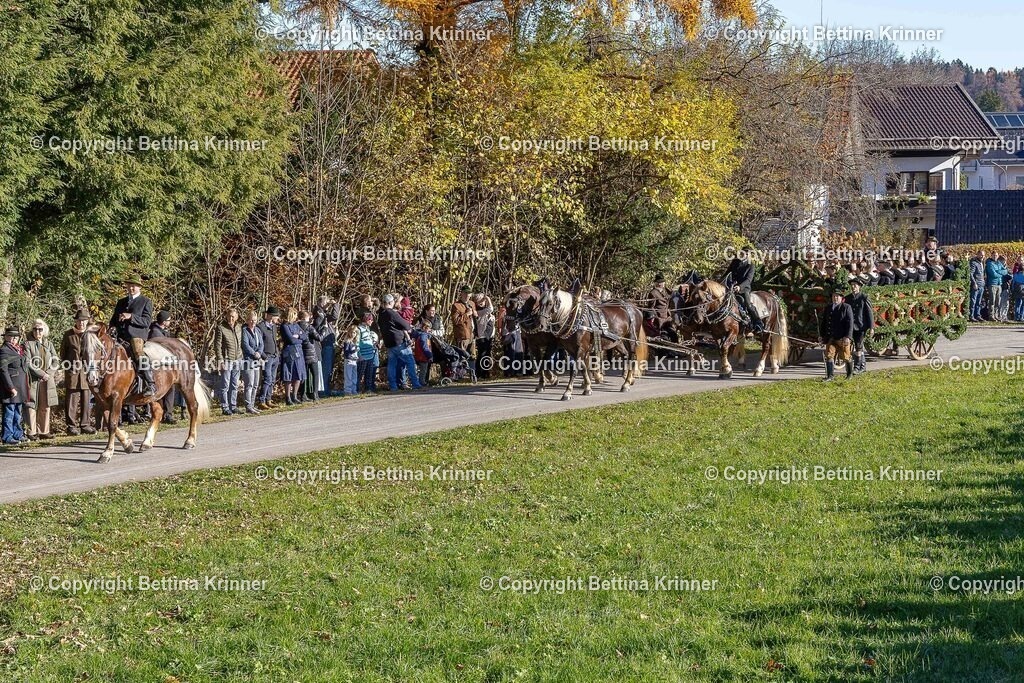 LBT25-276 | foto-bettina-krinner - Realisiert mit Pictrs.com