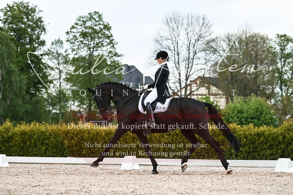 20230514_JK-Röhrsdorf-21-430 | Pferde- und Turnierfotografie in Westsachsen. Pferdeportraits, Auftragszeichnungen und intuitive Kunst.