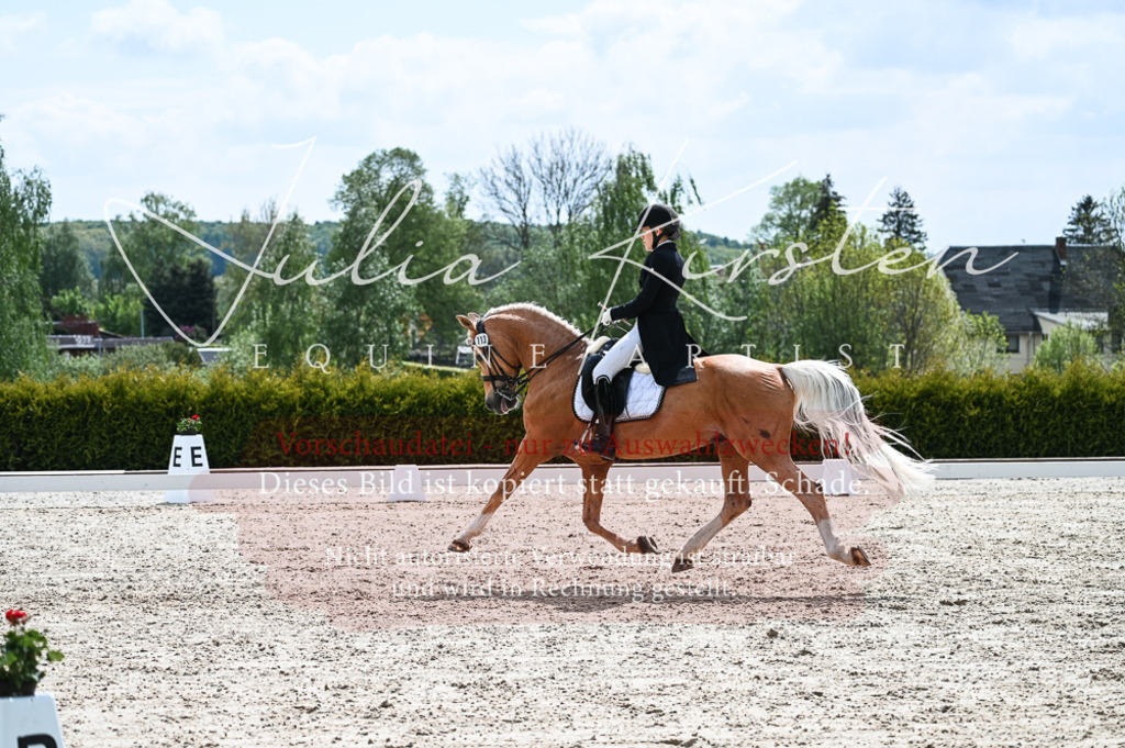 20230514_JK-Röhrsdorf-19-187 | Pferde- und Turnierfotografie in Westsachsen. Pferdeportraits, Auftragszeichnungen und intuitive Kunst.