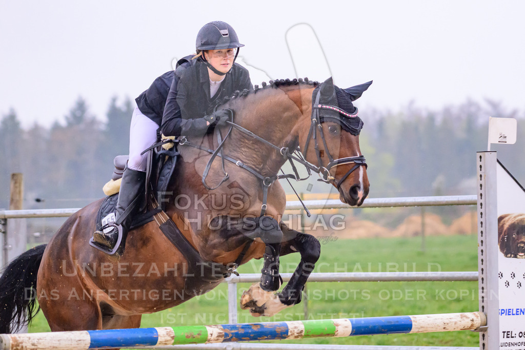10042026-Mammendorf-Prfg14-0125 | Fokus Hufschlag Fotografie - Realisiert mit Pictrs.com