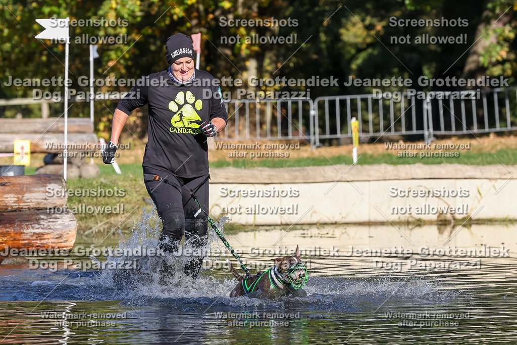 Dog Paparazzi - Strongdog 10-25-8867 | Dog Paparazzi Jeanette Grottendiek Fotografie & Videografie - Realisiert mit Pictrs.com