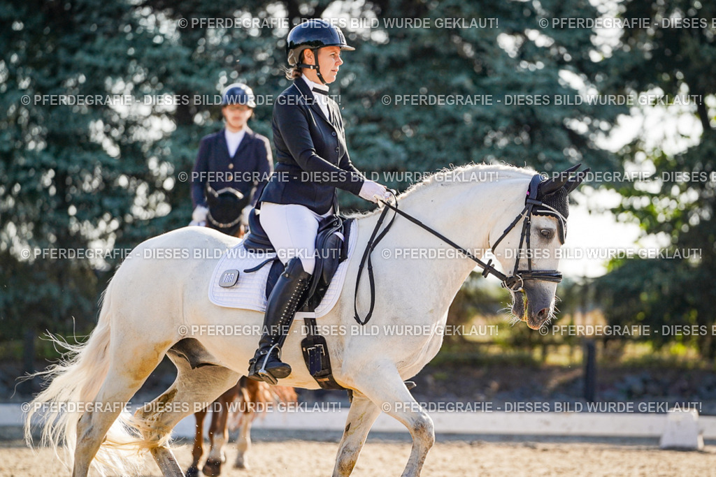 DSC08667 | Pferdegrafie