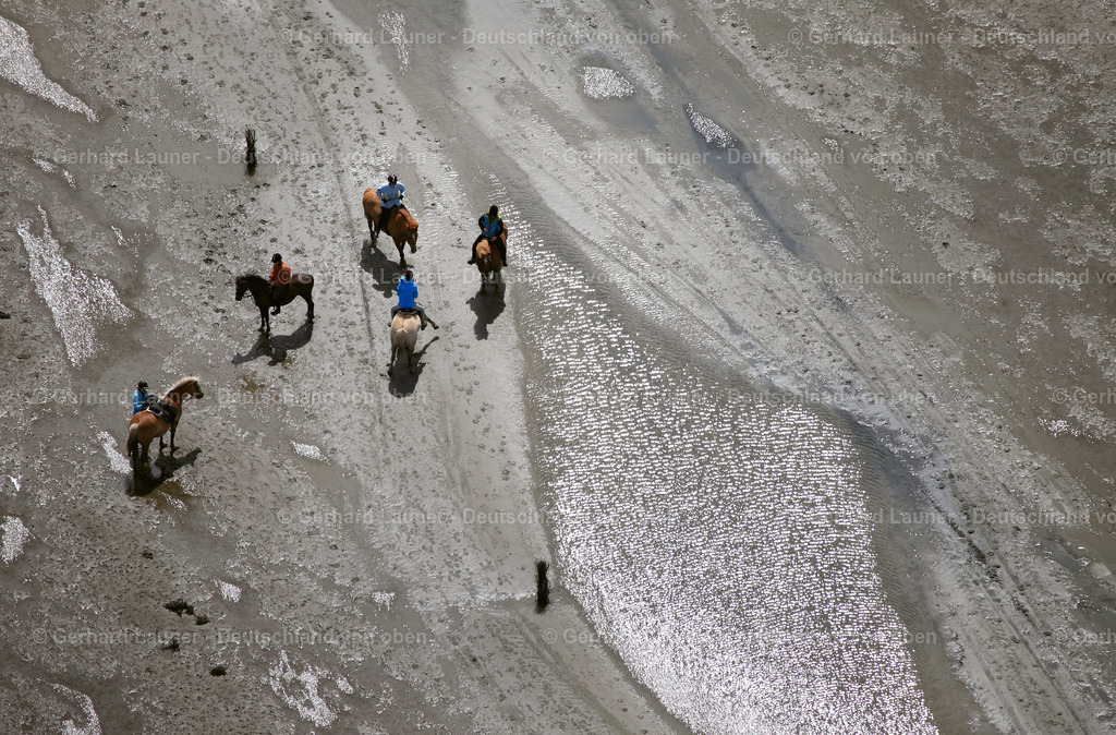 3090911 | Wattwanderung im Hamburgischen Wattenmeer