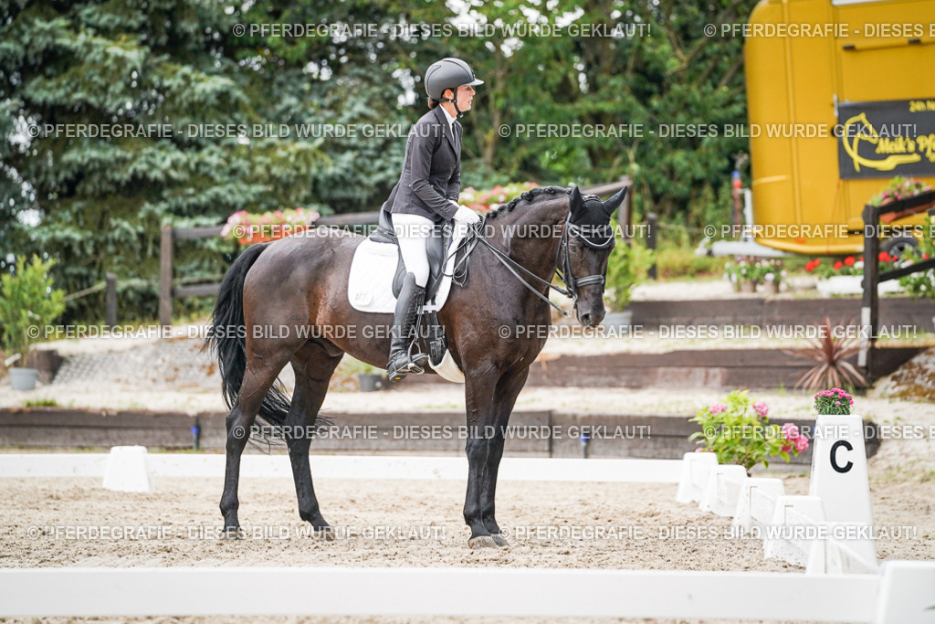 DSC04357 | Pferdegrafie