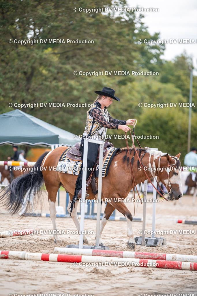 ZS3_4745 | dv-media-shop - Realisiert mit Pictrs.com