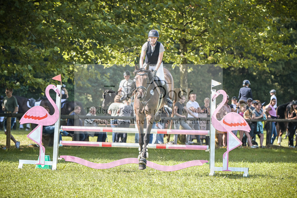 DOS_0491 | Entdecke hochwertige Reitturnierfotos von Foto Oger. Professionell, emotional und authentisch – jetzt Lieblingsmomente im Shop bestellen.Deutschlandweite Turnierfotografie. - Realisiert mit Pictrs.com