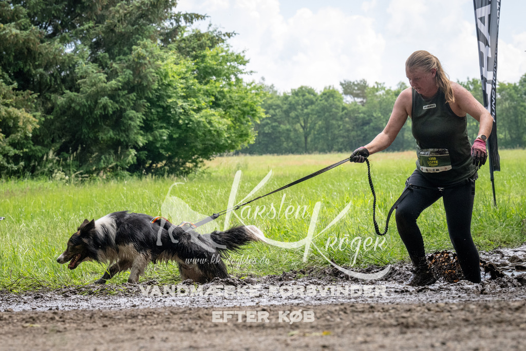 1127_ZZ93081 | kk-dogfotos