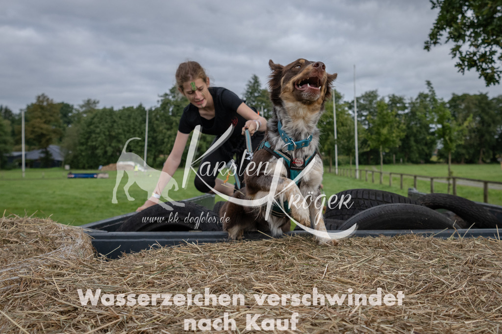 0939_ZZ91011 | kk-dogfotos