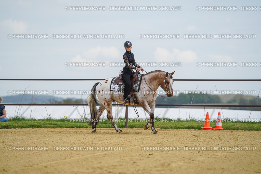 DSC05679 | Pferdegrafie