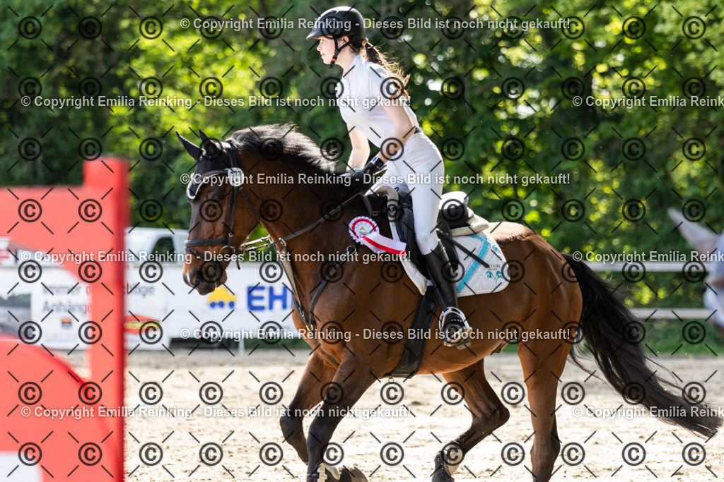 CL5A5175 | Emilia Reinking Fotografie - Realisiert mit Pictrs.com