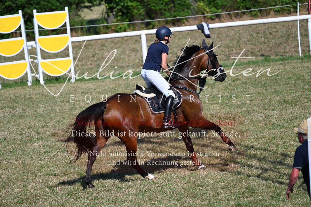 DSC_2131 | Pferde- und Turnierfotografie in Westsachsen. Pferdeportraits, Auftragszeichnungen und intuitive Kunst.