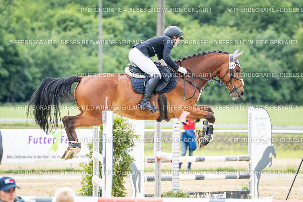 DSC05089 | Pferdegrafie