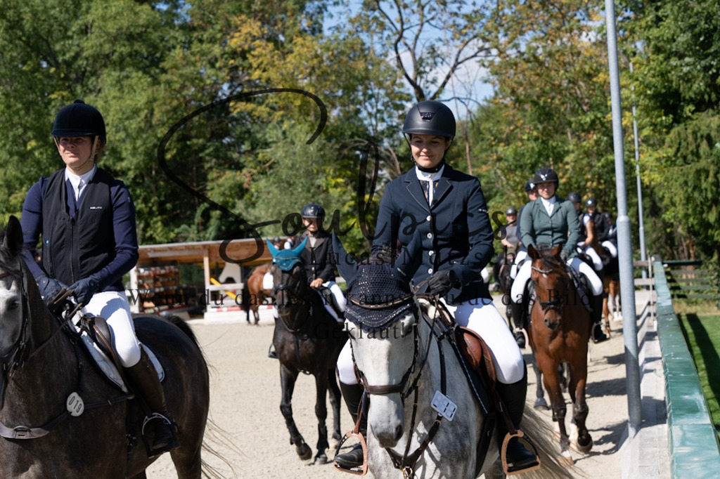 A7V07421 | Pferdefotograf