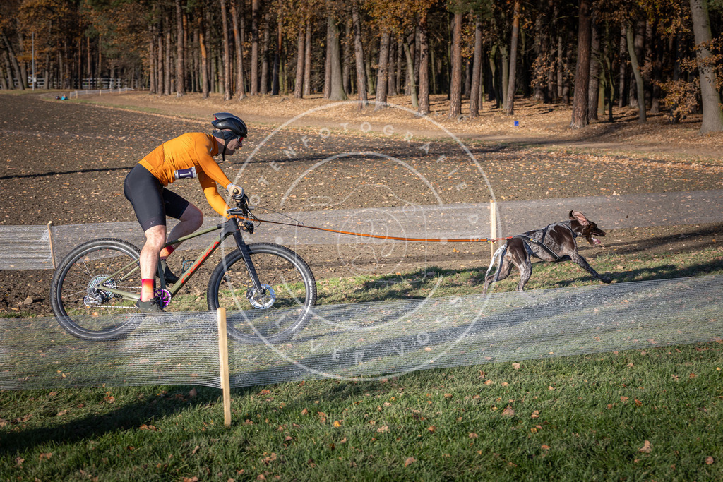 CaniXpix_DV3A2692 | Hundefotografie, Tierfotograf, Pfotenfotografie, Fotoshooting Hund, Hunde Portrait, Hundesport, Hundeportraits, Heideshooting, Hunde, Sportfotograf, Hundefotograf, Turnierhundsport, THS,  - Realisiert mit Pictrs.com
