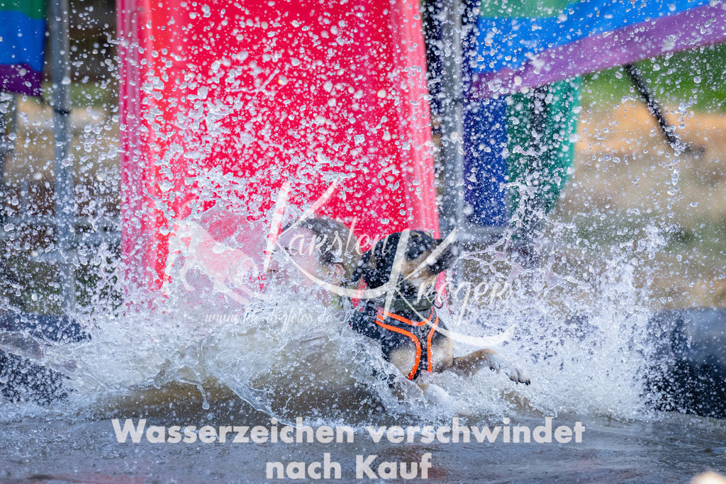 1846_ZZ91677 | kk-dogfotos