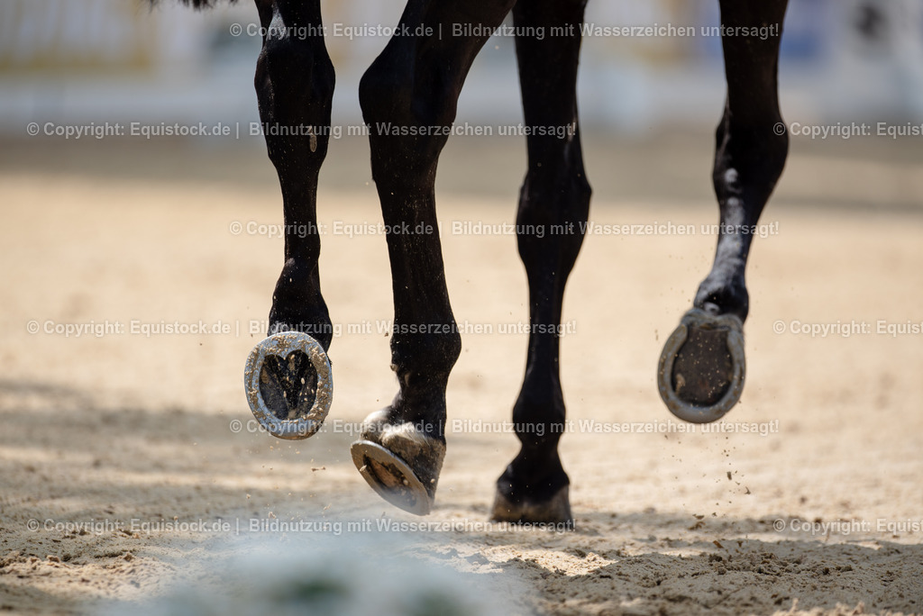 TS_20250607_1_GP-Tour_Dressage_0059 | Foto: Thomas Hartig