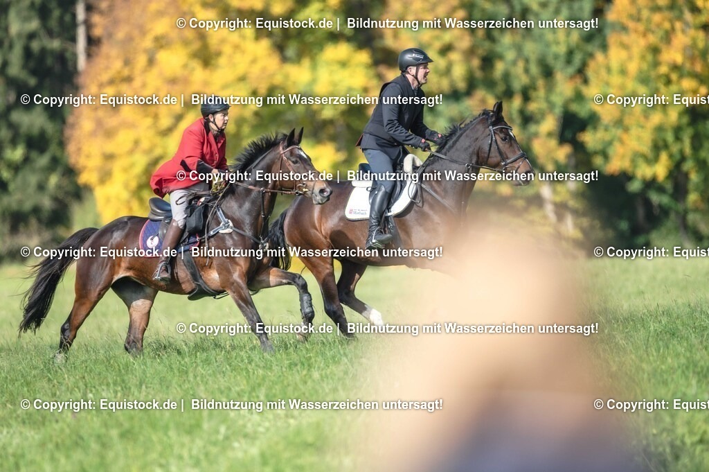 20251011_Jagd-Marbach_0210 | Foto: Thomas Hartig