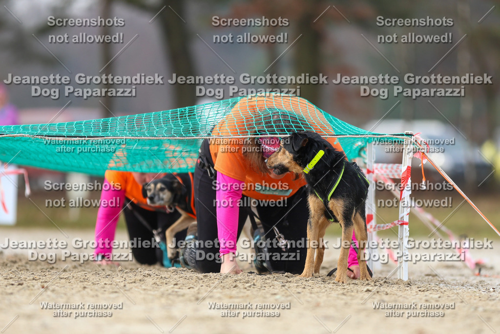 Dog Paparazzi - Strongdog North Mrz26-4275 | Dog Paparazzi Jeanette Grottendiek Fotografie & Videografie - Realisiert mit Pictrs.com